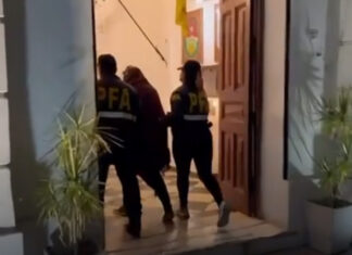 Detuvieron a una mujer que abusaba de su hija, la filmaba y difundía las imágenes en Internet