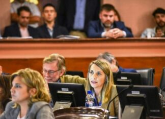 DIPUTADOS. Sancionaron la ley de emergencia en materia vial
