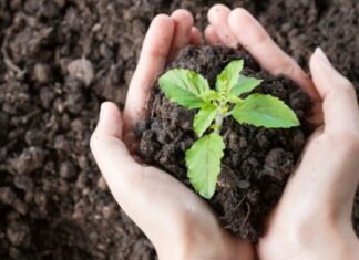 La labor y la lucha del Encuentro Ambiental en defensa de una mejor calidad de vida