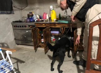 Narcomenudeo en Diamante: detuvieron a una mujer por narcomenudeo
