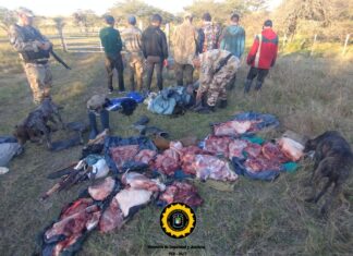 Departamento Gualeguaychú: interceptaron a once cazadores furtivos
