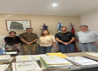 El IAPV analiza soluciones habitacionales de madera para nuevos segmentos sociales