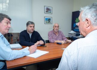 Trabajan en soluciones habitacionales para Rocamora