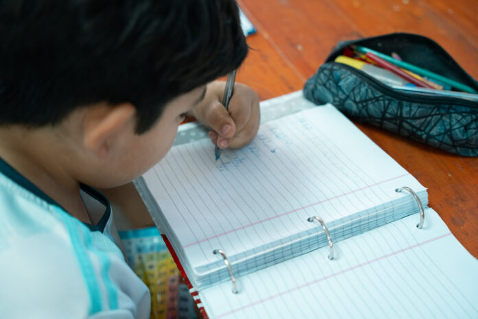 instituto becario1