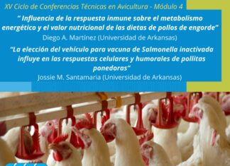 Avicultura: Se dicta el módulo 4 del ciclo de conferencias técnicas del INTA