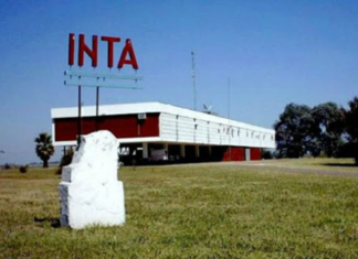 La Experimental se prepara para la jornada Hereford Mesopotámica