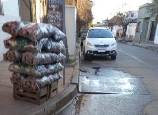 La Calle en tu barrio: Agua estancada por rotura de caño cloacal