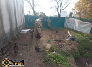 Allanaron una vivienda del barrio Lanús por maltrato animal