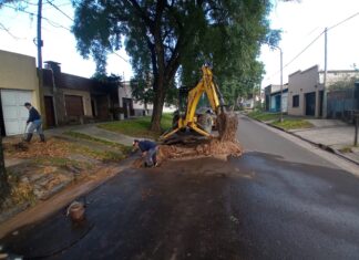 Plan de Obras y Servicios: Nueva semana con intensos trabajos en los barrios uruguayenses