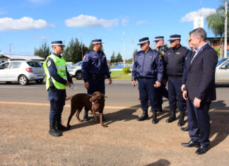 Junto a la Policía provincial y la Gendarmería se intensifican los trabajos de prevención en rutas entrerrianas