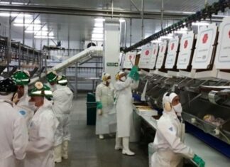 PRODUCCIÓN. El consumo eléctrico en las industrias cayó 7,9%