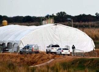 AMBIENTE. Clausuran parador de fiestas en isla de Victoria