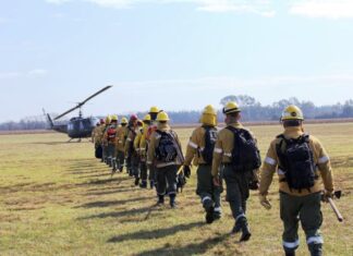 PREVENCIÓN. Entre Ríos y Santa Fe abordan incendios en islas