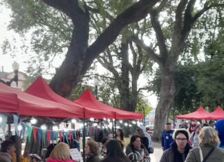 Realizarán la feria de emprendedores en la plaza Ramírez
