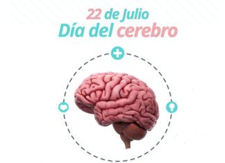 Día Mundial del Cerebro: la importancia de su cuidado preventivo