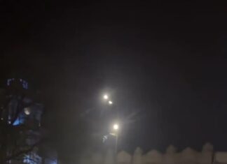 Copa América: Uruguayenses festejaron la gloria de Argentina ante Colombia