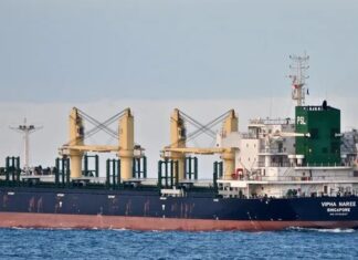 Este viernes 26 ingresa el décimo tercer buque del año al puerto local