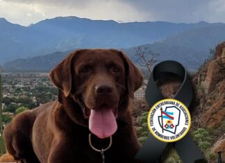 Bomberos: Decretaron duelo federativo provincial por la muerte de Nerón