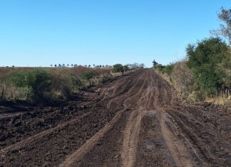 Ejecutan la apertura de caminos en Colonia Caseros