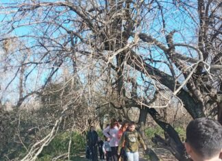 Deportes, juegos y diversión en vacaciones en los centros de educación física