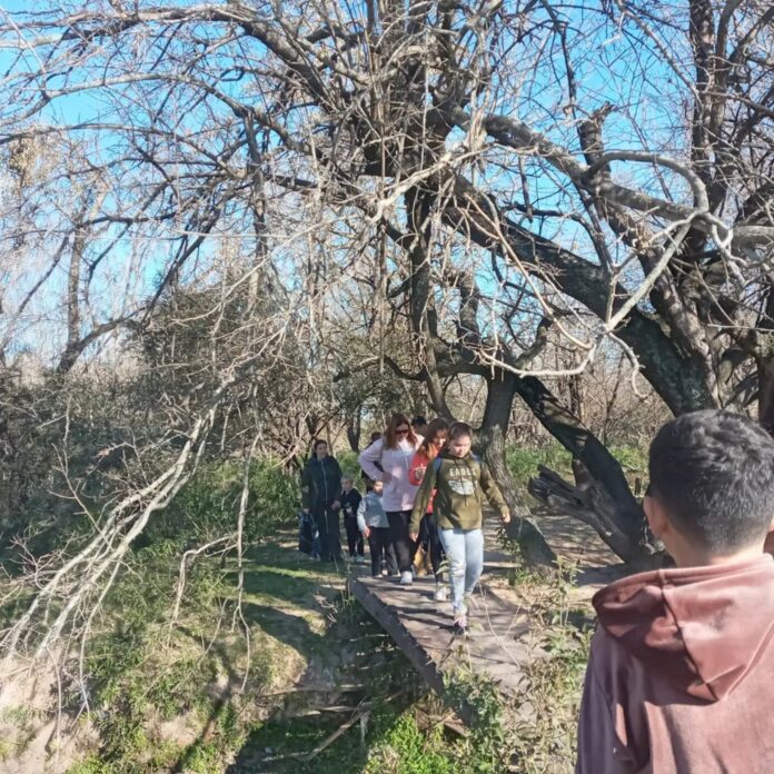 educación - deportes y juegos en los cef1