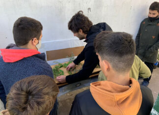 A través de un concurso escolar, incentivan la conciencia por el cuidado del ambiente