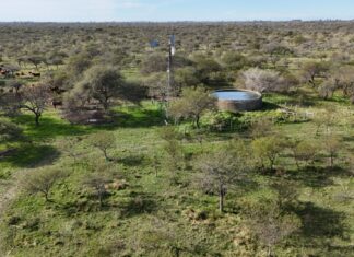 Impulsan las buenas prácticas para integrar a la ganadería en ambientes de bosques nativos