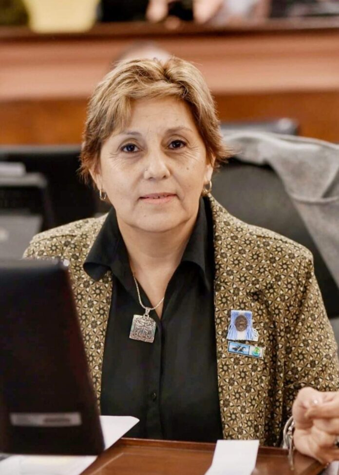 liliana salinas, diputada1