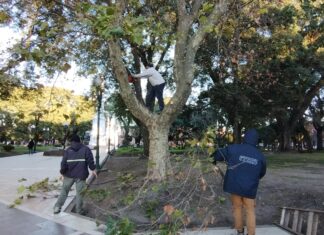 Emprenden el mantenimiento de las plazas uruguayenses