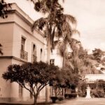 20 Estancia del Pino
