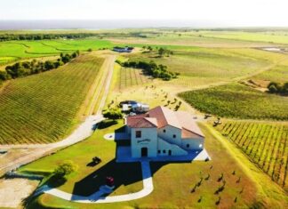 TURISMO. Impulsan las visitas a establecimientos productivos