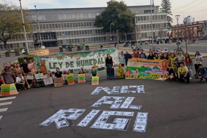 2Entidades contra el RINI