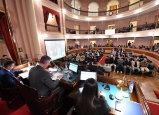 CULTURA. Diputados dio media sanción a la Ley de Mecenazgo