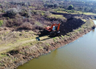 El Municipio creará un paseo vehicular en el Parque de la Ciudad