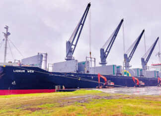 Intensa actividad en puerto de Concepción, con arribo del 14º ultramarino de este año