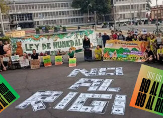 Habrá una marcha a la Legislatura para exigir el rechazo al RIGI y su versión entrerriana