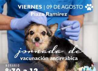 Realizarán un operativo gratuito de vacunación antirrábica en plaza Ramírez