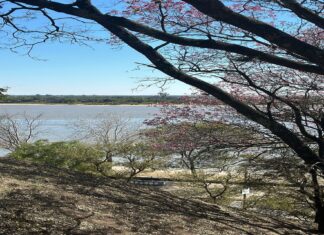 Agua: Aumentaron las inscripciones destinadas a perforaciones en zonas rurales y suburbanas