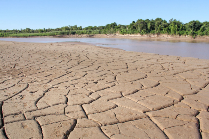 ambiente - crítica situación en el delta del paraná1
