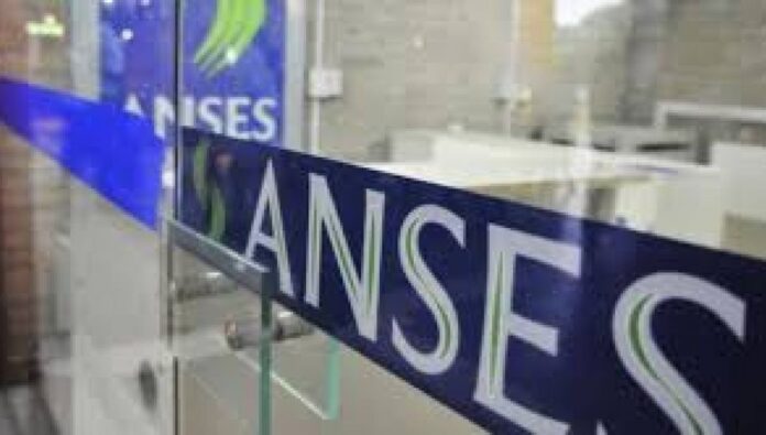 anses - cronograma de pagos1