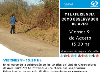 Observación de aves: Brindan una nueva charla en la Isla del Puerto