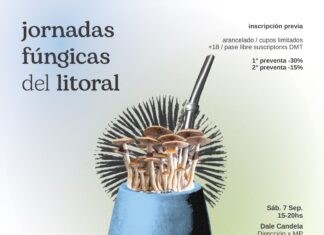 Jornadas Fúngicas del Litoral en la ciudad: Un acercamiento responsable a los hongos mágicos