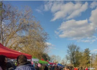 Movimiento emprendedor: La Feria La Delfina arribó a sus 3 años de vida