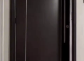 Un «gato cerrajero» ayudó a su dueño a abrir la puerta de su casa