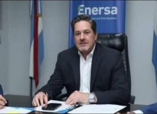 Bergallo: “Por la crisis disminuyó un 7% el consumo de energía, la gente se está cuidando”
