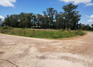 La Calle en tu barrio: Piden por la reposición de un transformador en Palermo Chico