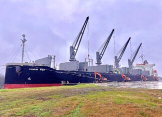 El Puerto exporta madera, recibe combustible y acopia granos en el elevador terminal