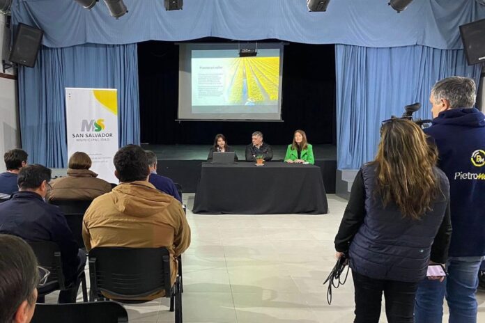 producción - arroz entrerriano será marca provincial1