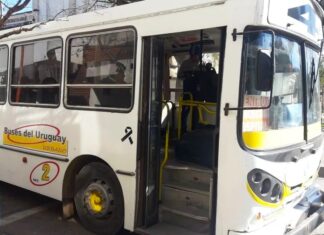 Detallaron los recorridos del transporte urbano de pasajeros