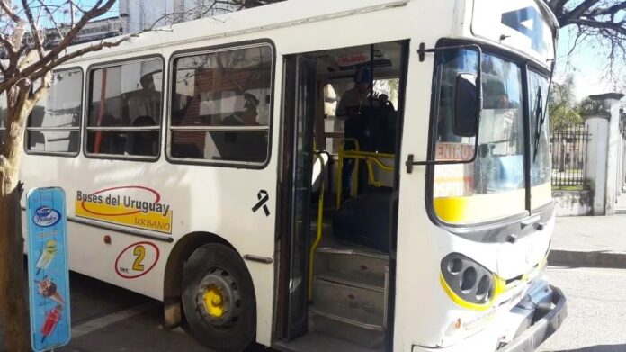 recorrido colectivo